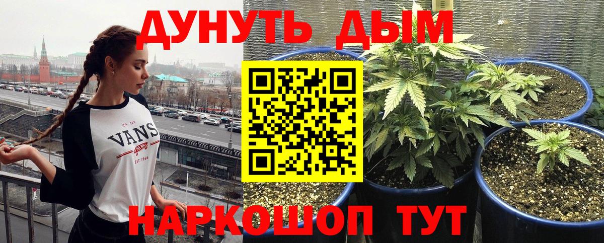 Бошки Шишки планчик  Бошки марихуана MAZAR  Вход с VPN  Ачинск  Конопля OG Kush 